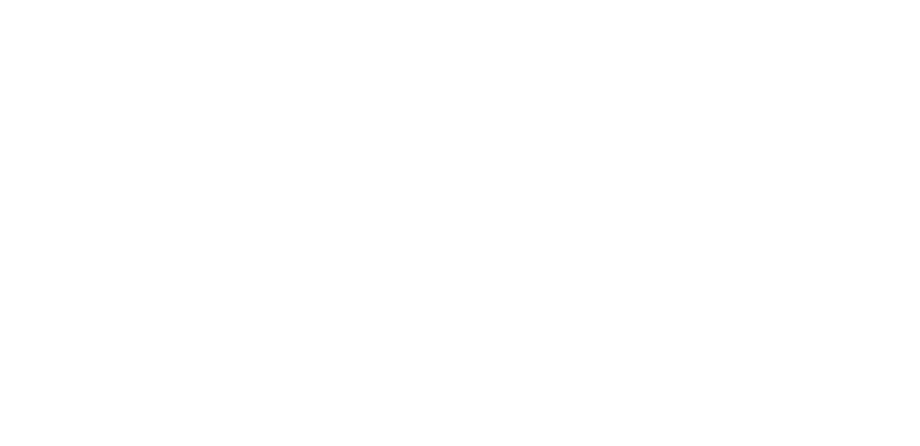 Ribelle